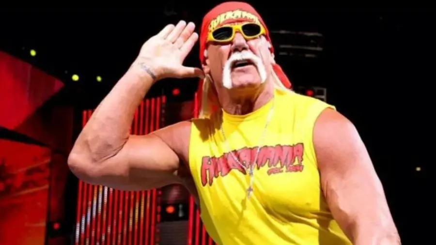 Ric Flair Reveals If Hulk Hogan Is Coming Out Of Retirement