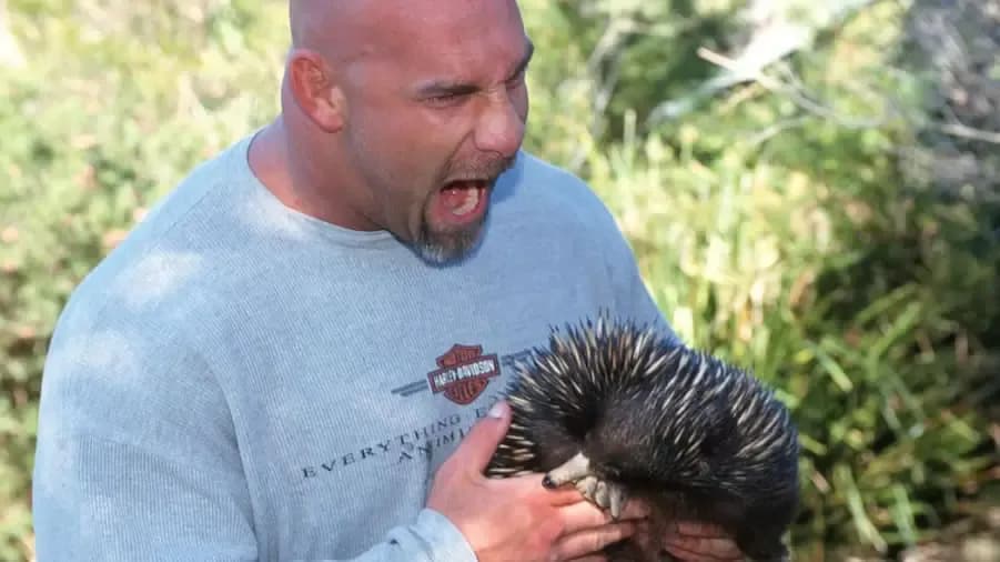goldberg