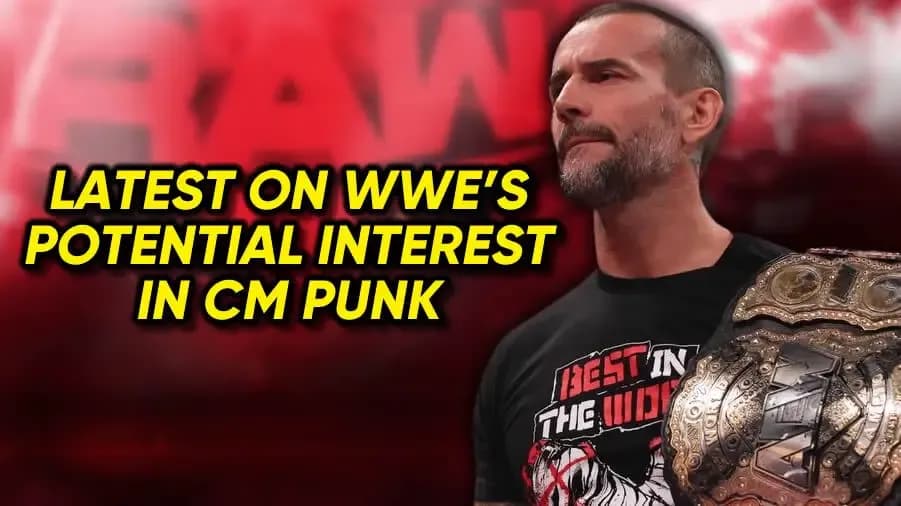 CM Punk potential WWE interest.jpg