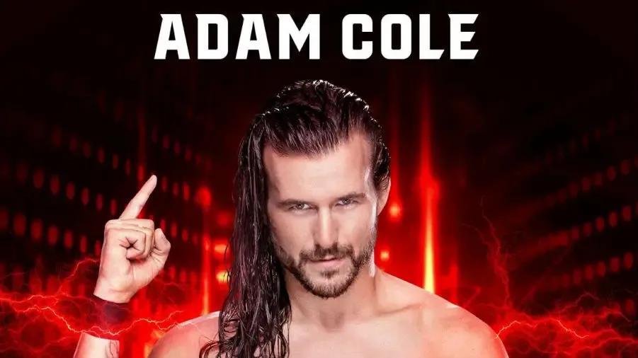 adam cole wwe 2k19