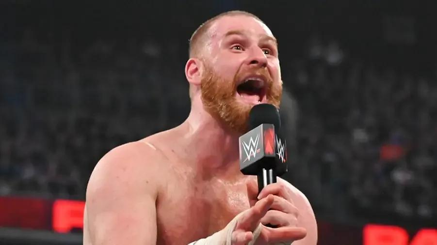 sami zayn