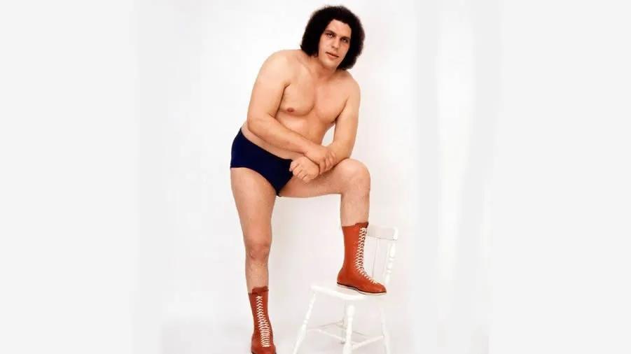 andre the giant