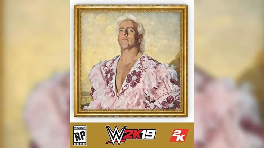 wwe 2k19 wooo edition