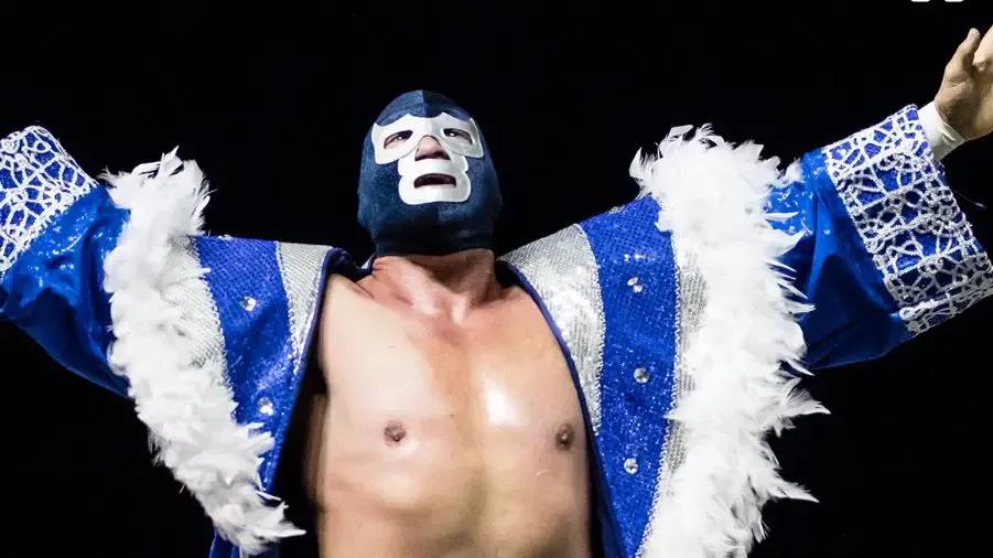 Blue demon jr