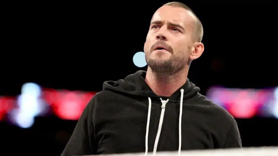 CM Punk WWE 2013.jpg