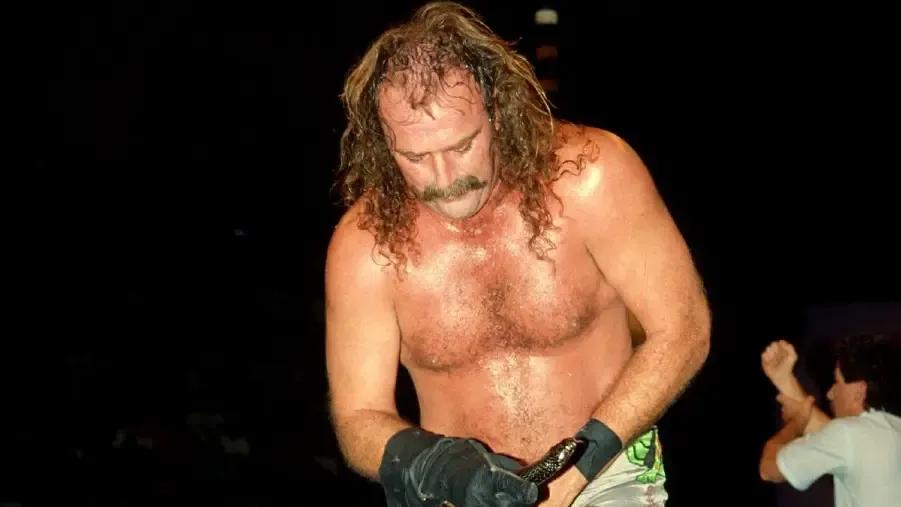 Jake roberts wcw halloween havoc 1992