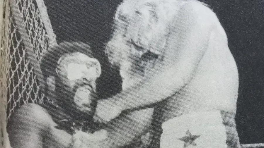 Junkyard dog michael hayes