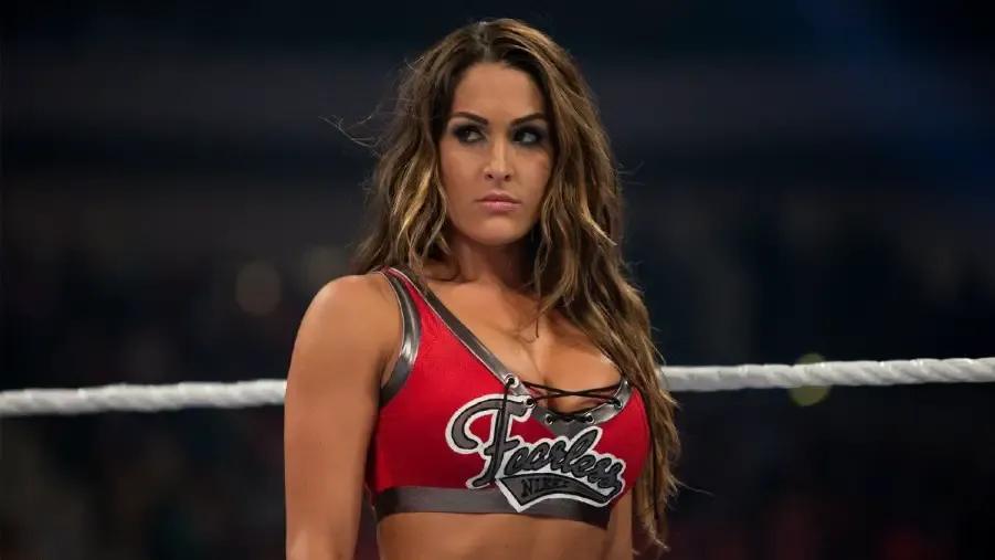 Nikki Bella Hell in a Cell 2014.jpg