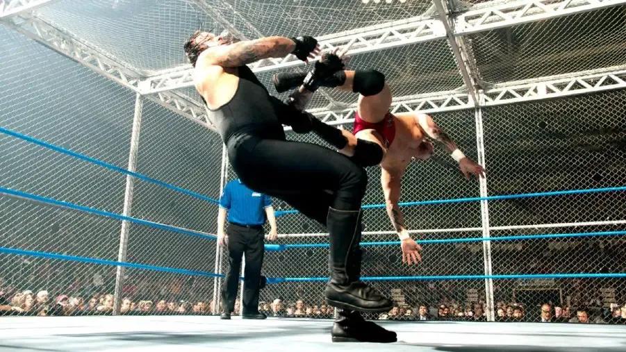 Randy orton the undertaker hell in a cell armageddon 2005