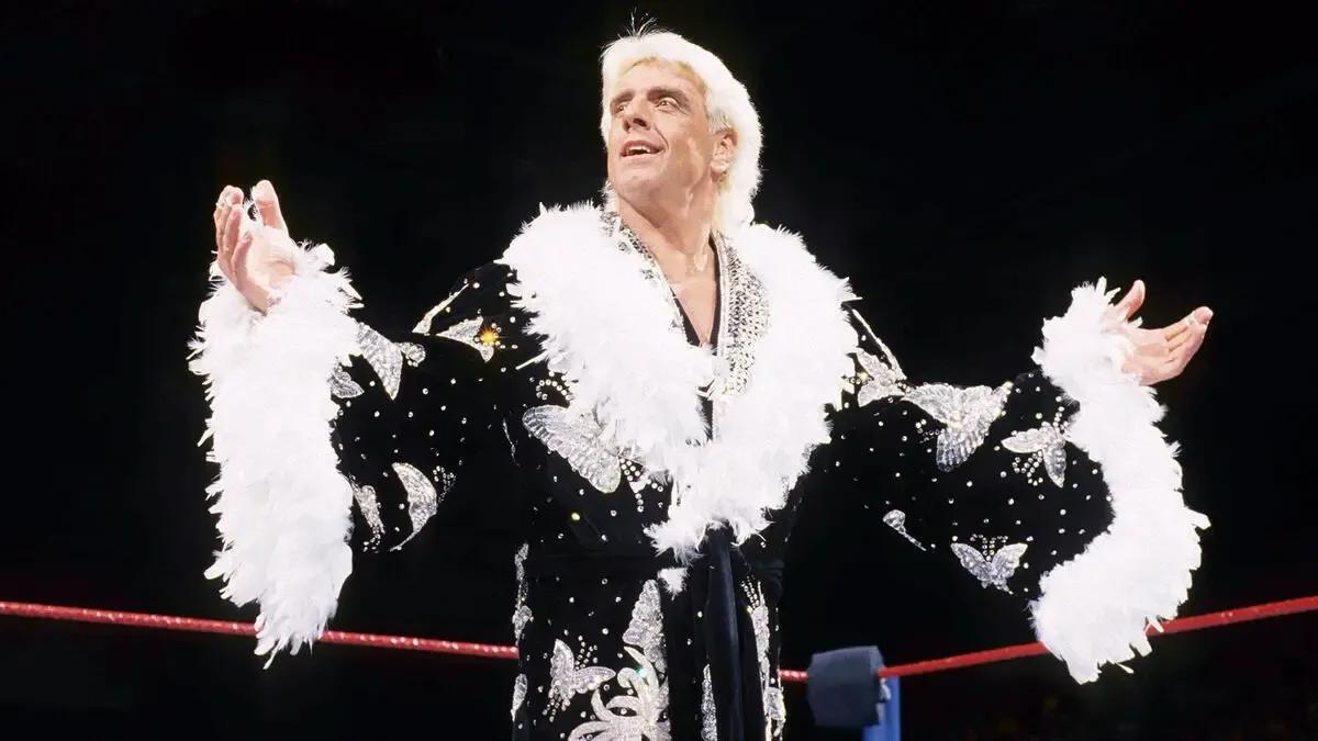 Ric Flair 1992.jpeg