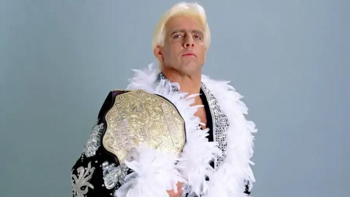 Ric Flair WCW World Heavyweight Title