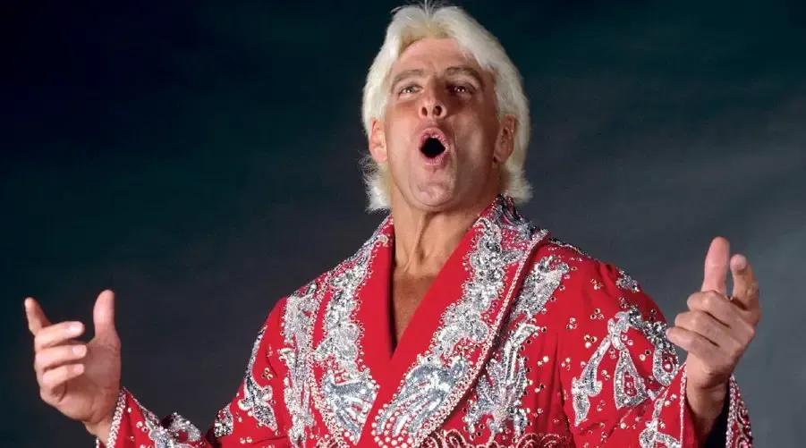 Ric flair wwe robe