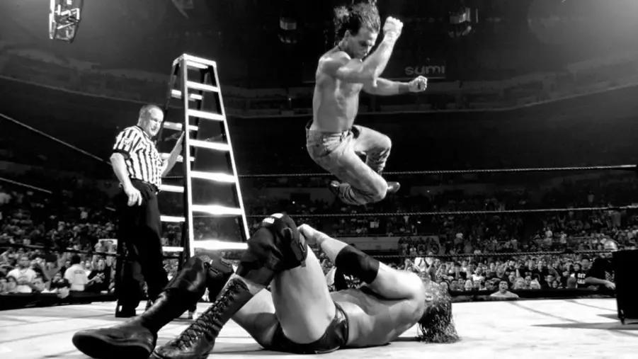 Shawn michaels ladder triple h wwe summerslam 2002