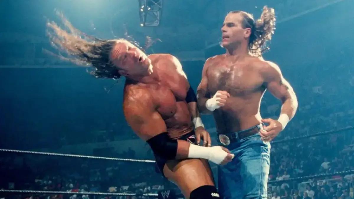 Shawn michaels triple h summerslam 2002