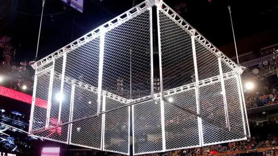 Steel Cage.jpg