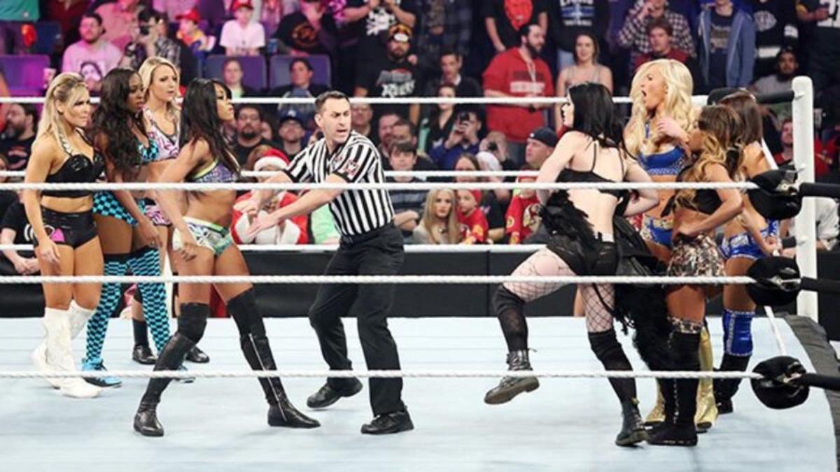 Team Paige and Team Natalya at Survivor Series 2014 facing off on opposite sides of the ring