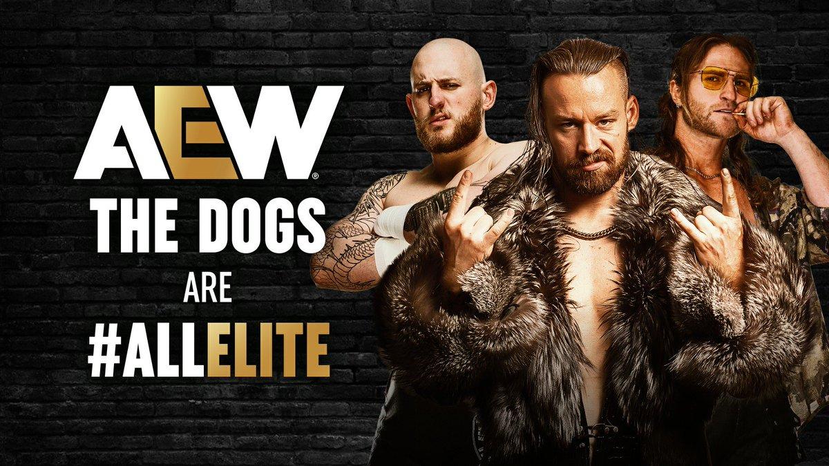 AEW announcement revealing that The Dogs (Gabe Kidd, David Finlay, and Clark Connors) have signed with the company and are 'all elite'