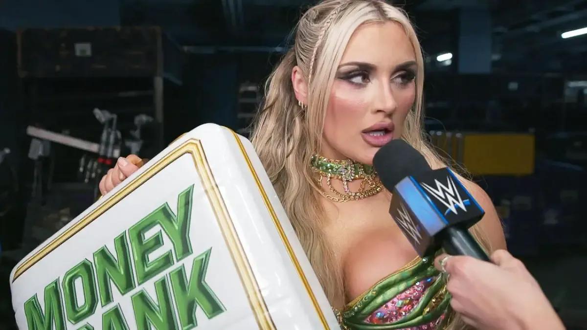 Tiffany Stratton Money in the Bank Briefcase.jpg