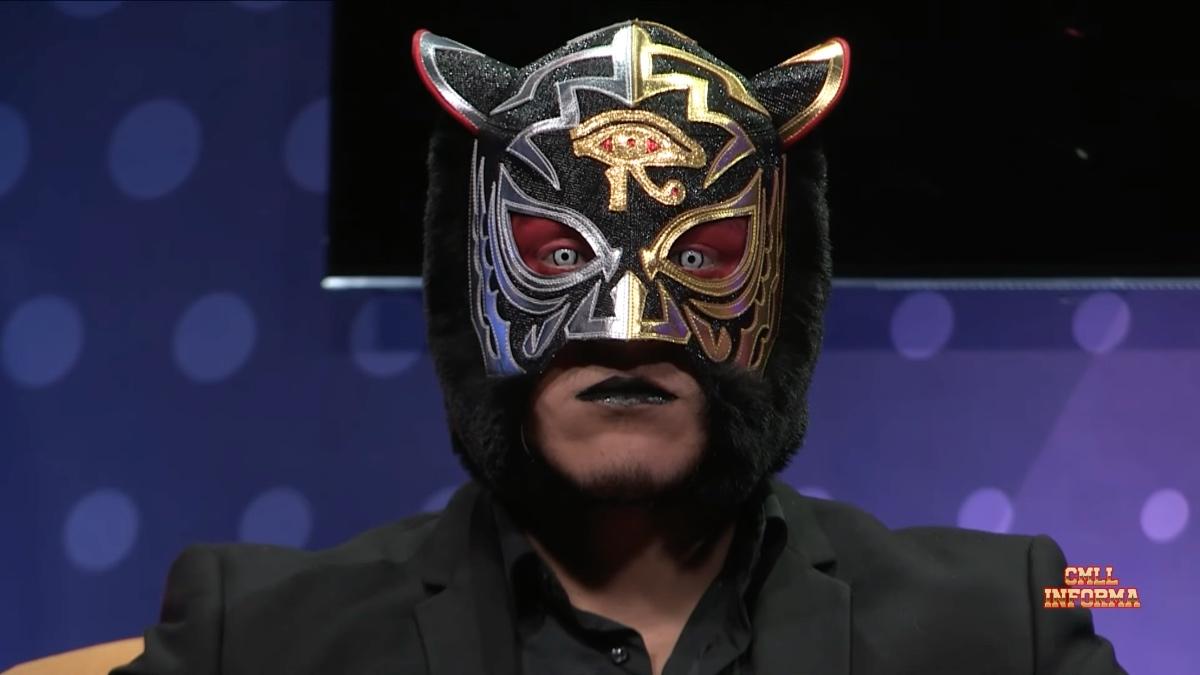 Tiger Mask IX looking straight into the camera