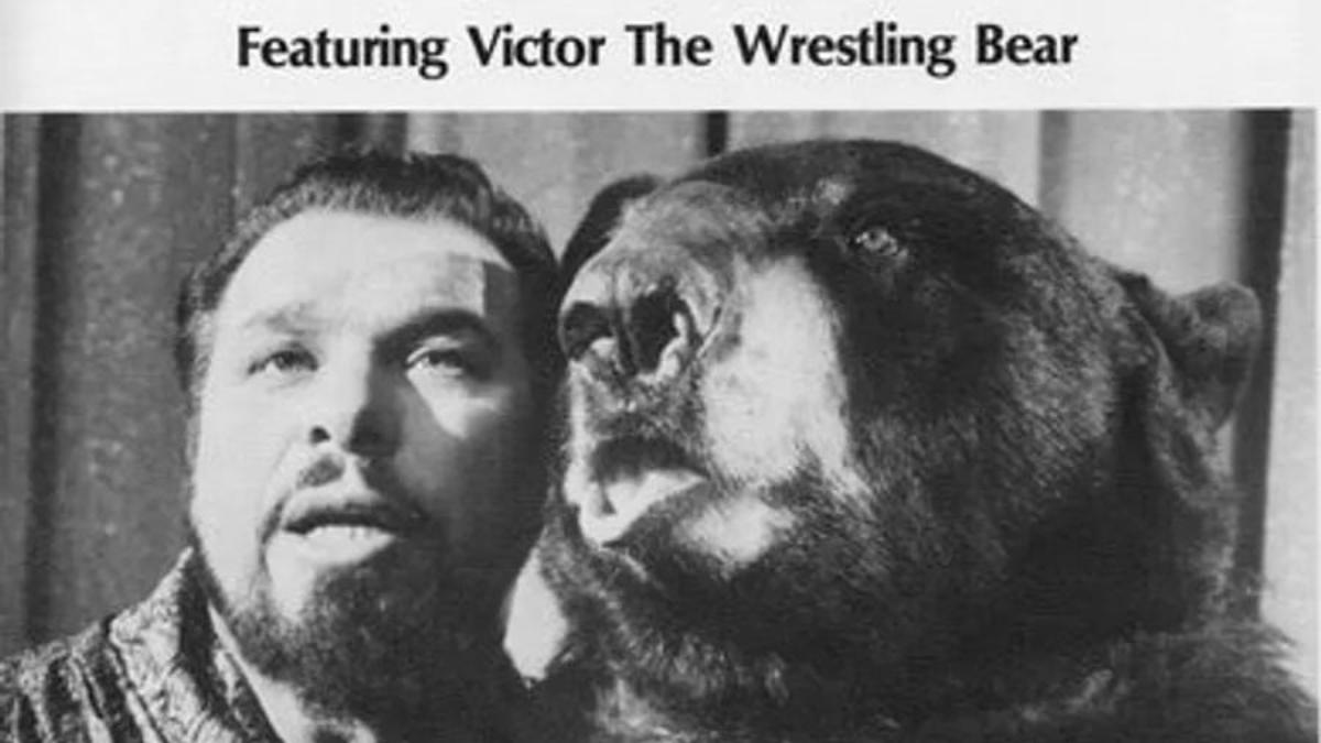 Advertisement for Victor the Wrestling Bear