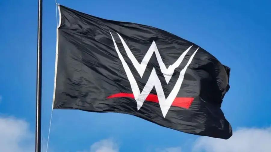 WWE Logo- Flag.jpg