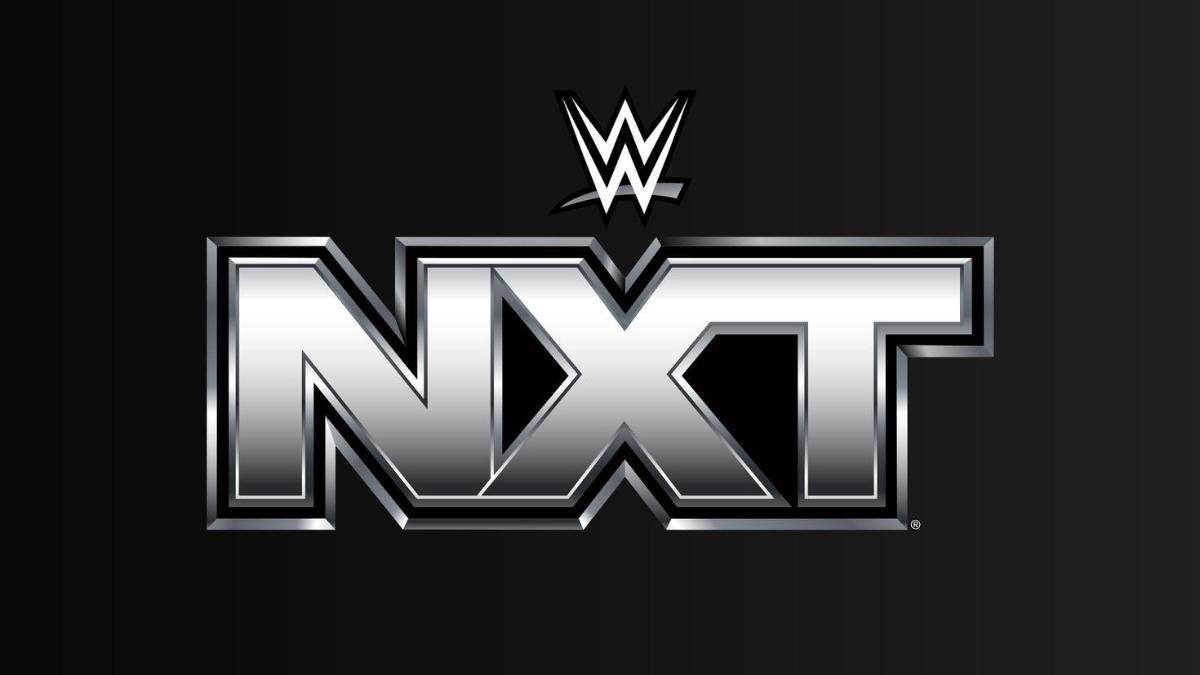 WWE NXT logo which is black and silver 