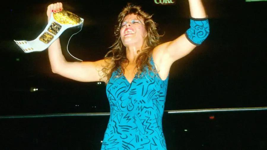 Wendi richter bio