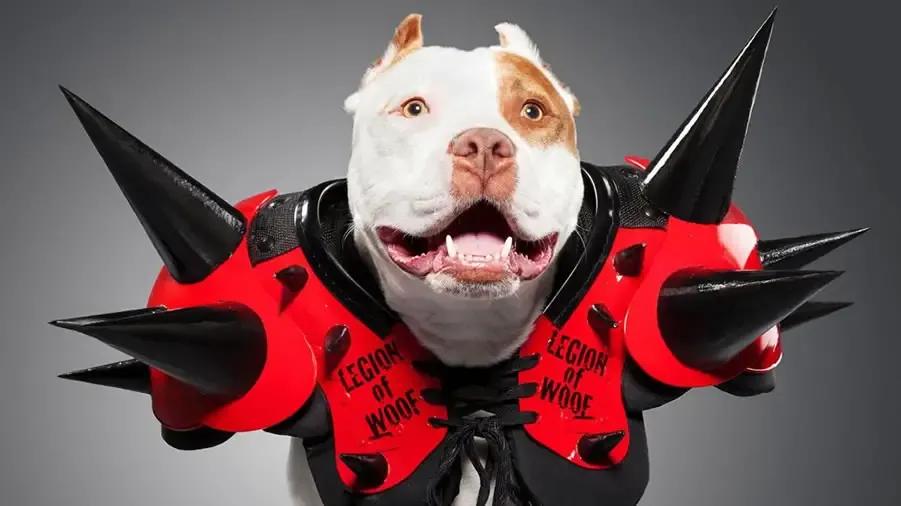 https://cultaholic.com/files/images/a44bb5cc26988831e83928d49f6c31ab40784763-legion-of-doom-dog.jpg