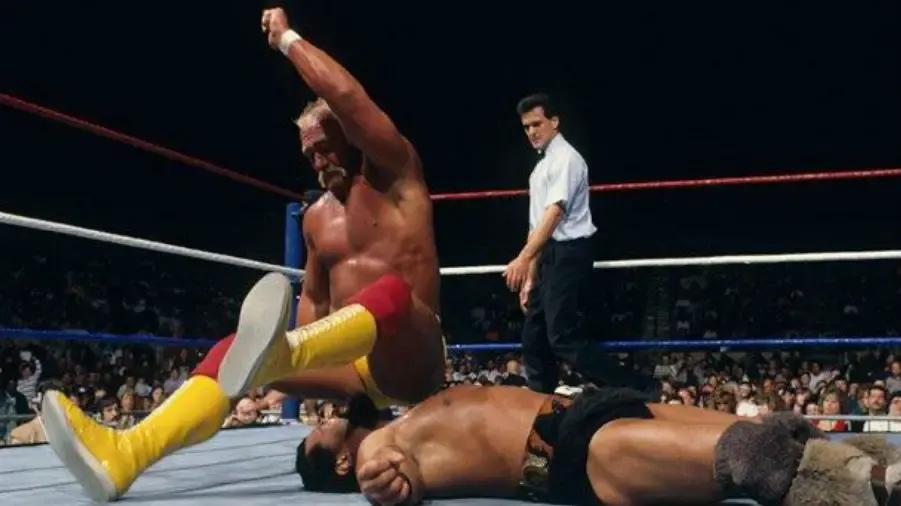 https://cultaholic.com/files/images/a7c0d3f48e6b8c715c77162a9a76baa3c40a8e1c-hulk-hogan-the-barbarian.jpg