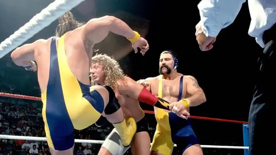 https://cultaholic.com/files/images/5715335395fea08d3e346439daed3d7913866717-the-steiners-tom-prichard-summerslam-1993.jpg