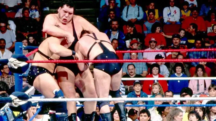 https://cultaholic.com/files/images/94966340cc372ecac3fd0503df51a88981fcbe5b-ANDRE-THE-GIANT-AX-SMASH-DEMOLITION-ROYAL-RUMBLE-1989.jpg