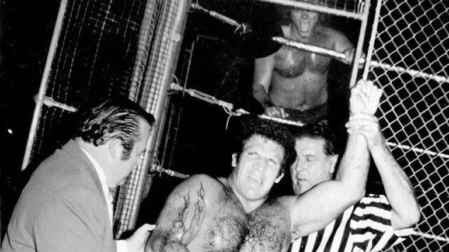 https://cultaholic.com/files/images/e8c1f1f1ade282f2f9c2b9b66cef68b09d227790-bruno-sammartino-larry.jpg